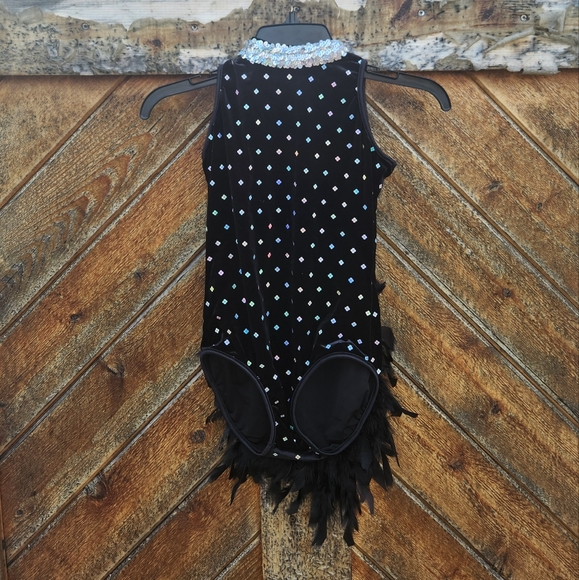 Cicci Dance and Ice Skating Feathered Show Costume - Picture 2 of 8